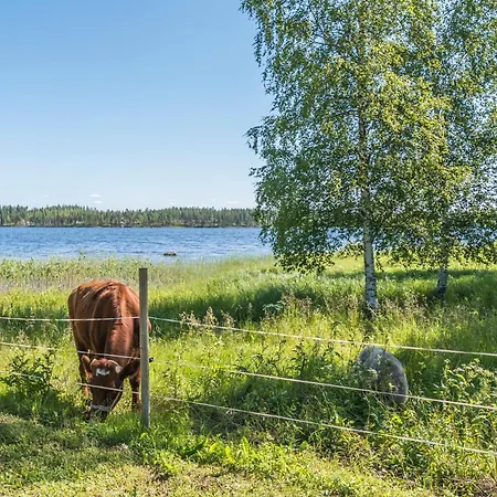 Hyvoelaen Moekit Tatil Evi Ähtäri