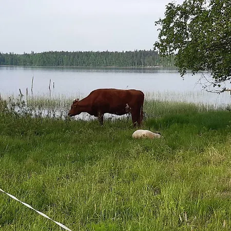 Hyvoelaen Moekit *